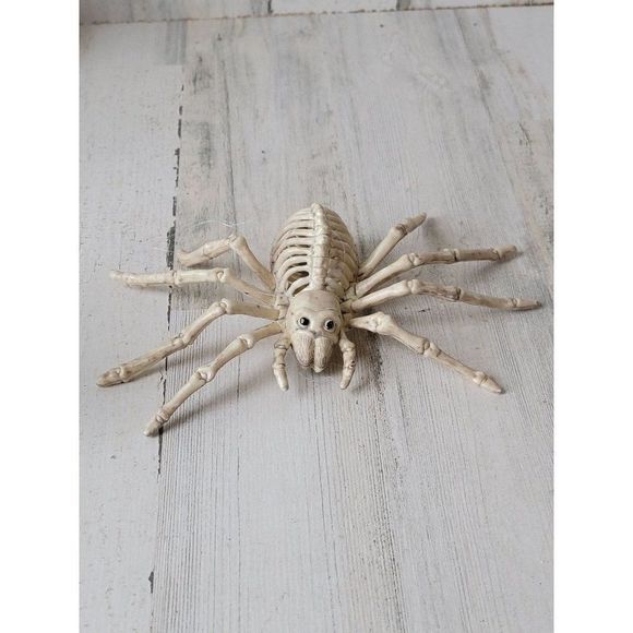 unbranded Holiday Skeletonspider Tarantula Lifesize Scary Halloween